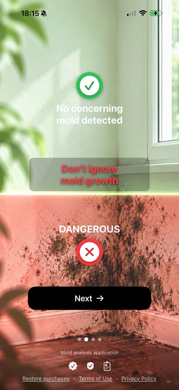 Mold Scanner app screen 2