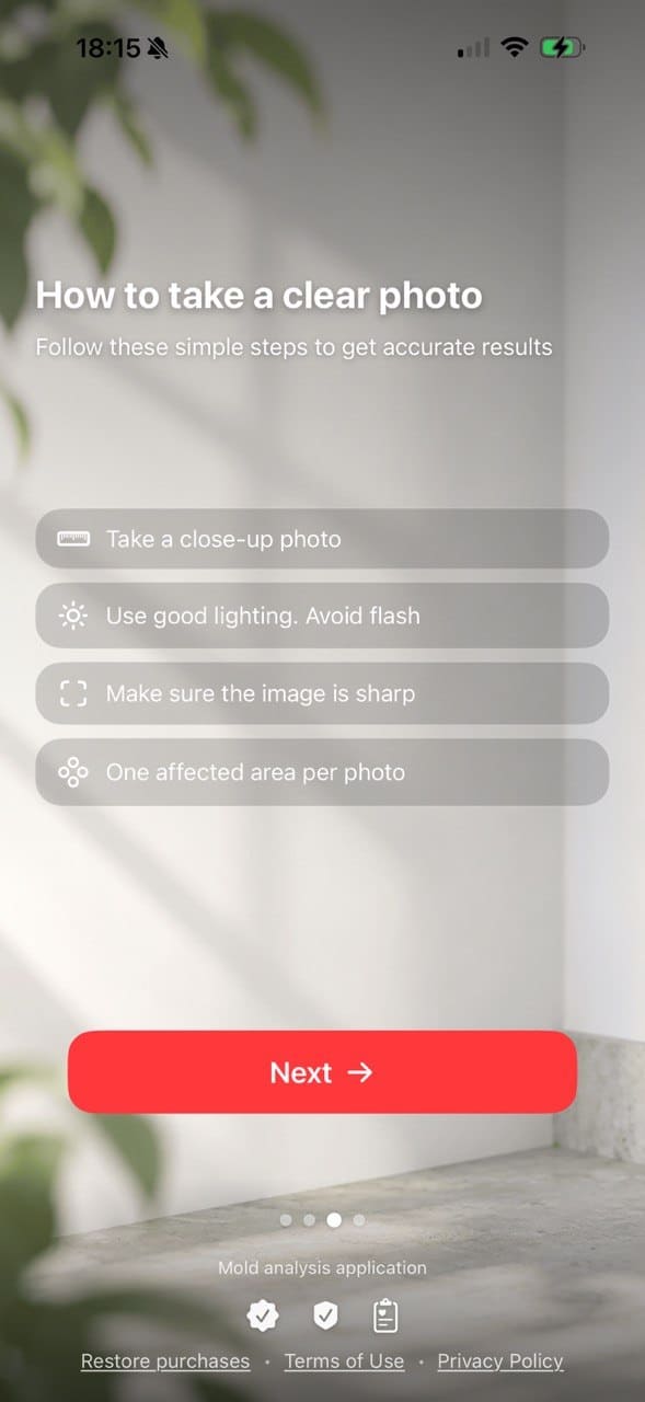 Mold Scanner app screen 3